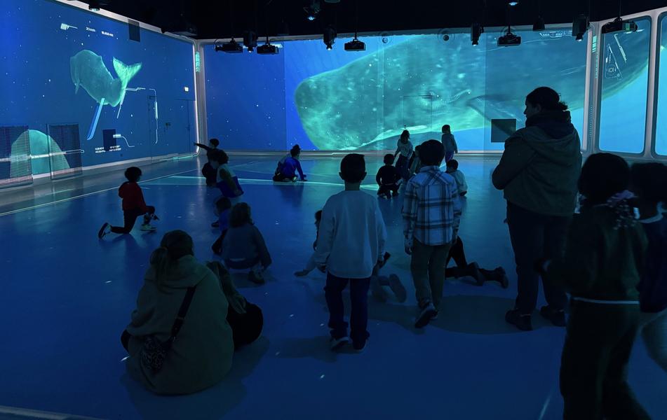 Aquarium de Lyon_La Mulatière