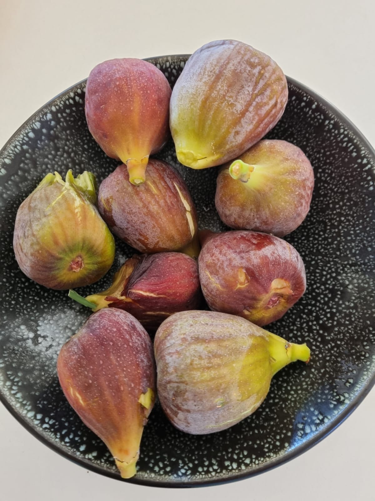 Mas Paloma, Rognonas - photo 17