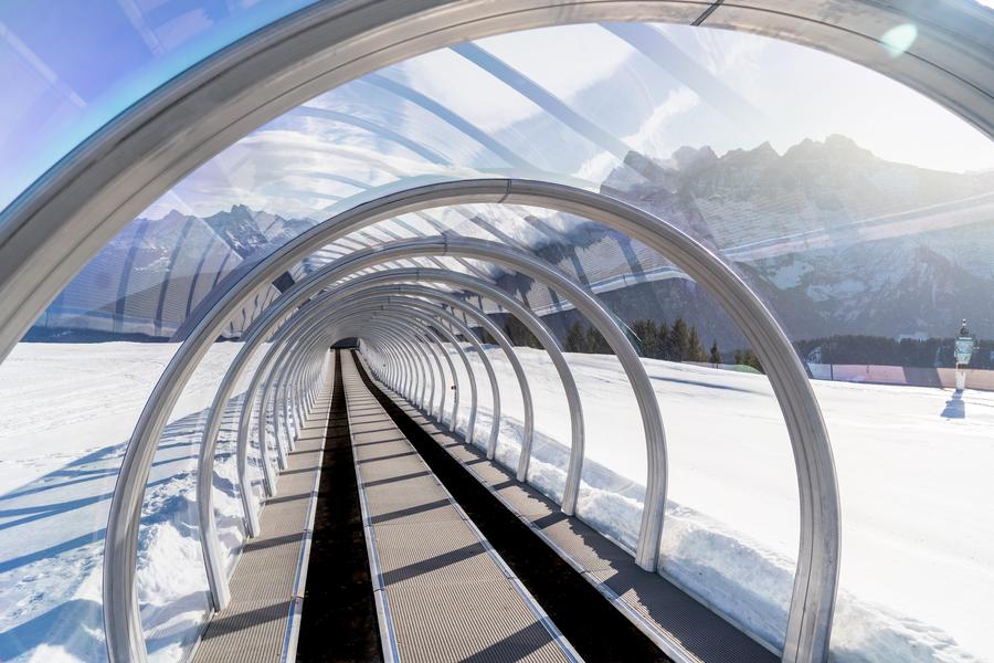 Tapis Foilleuse_Morgins