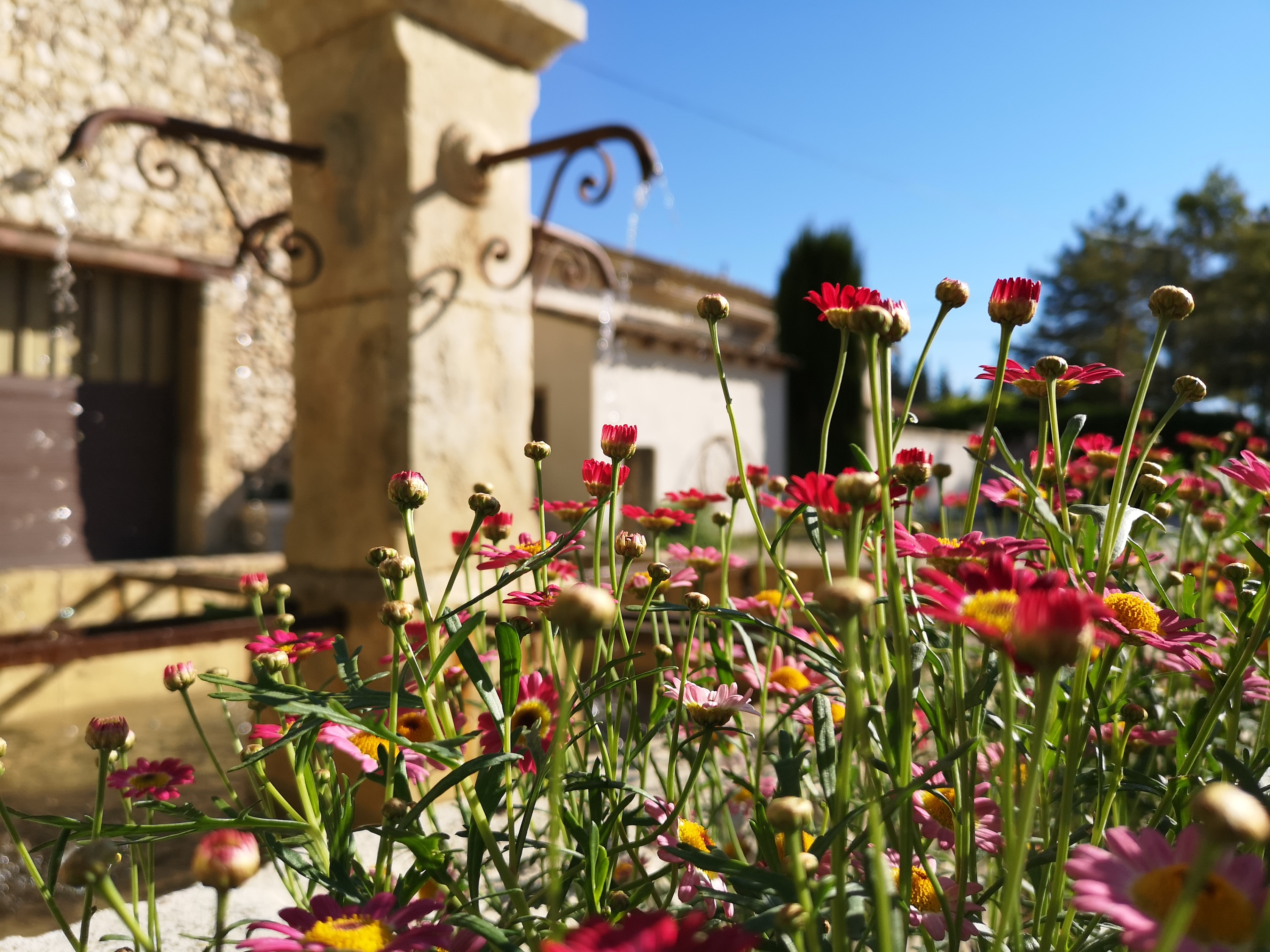 Au Mas Saint-Pierre, Cabannes - photo 9