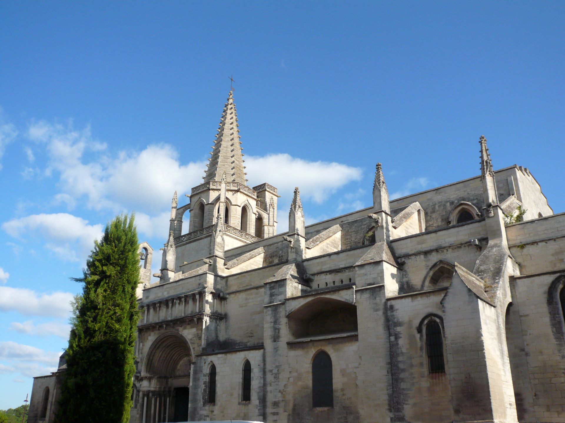 Église Sainte Marthe, Tarascon - photo 5