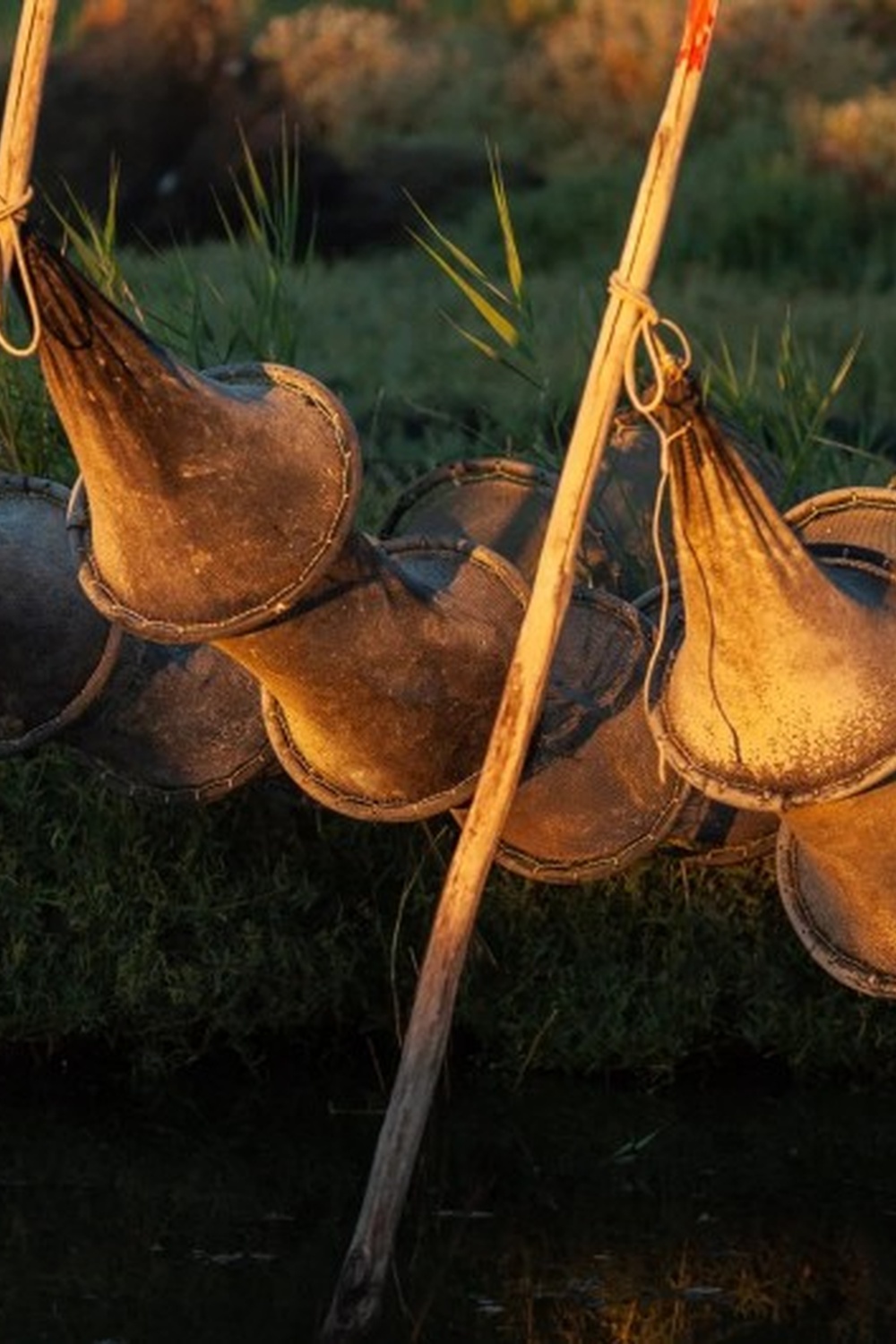 Découverte de la pêche aux anguilles sur l&rsquo;étang du Vaccarès