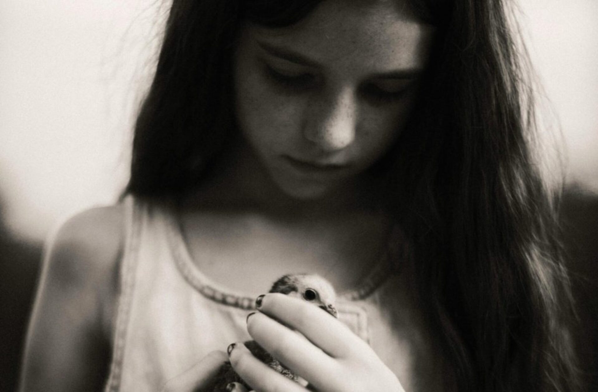 Festival la tête dans les nuages - Après le feu