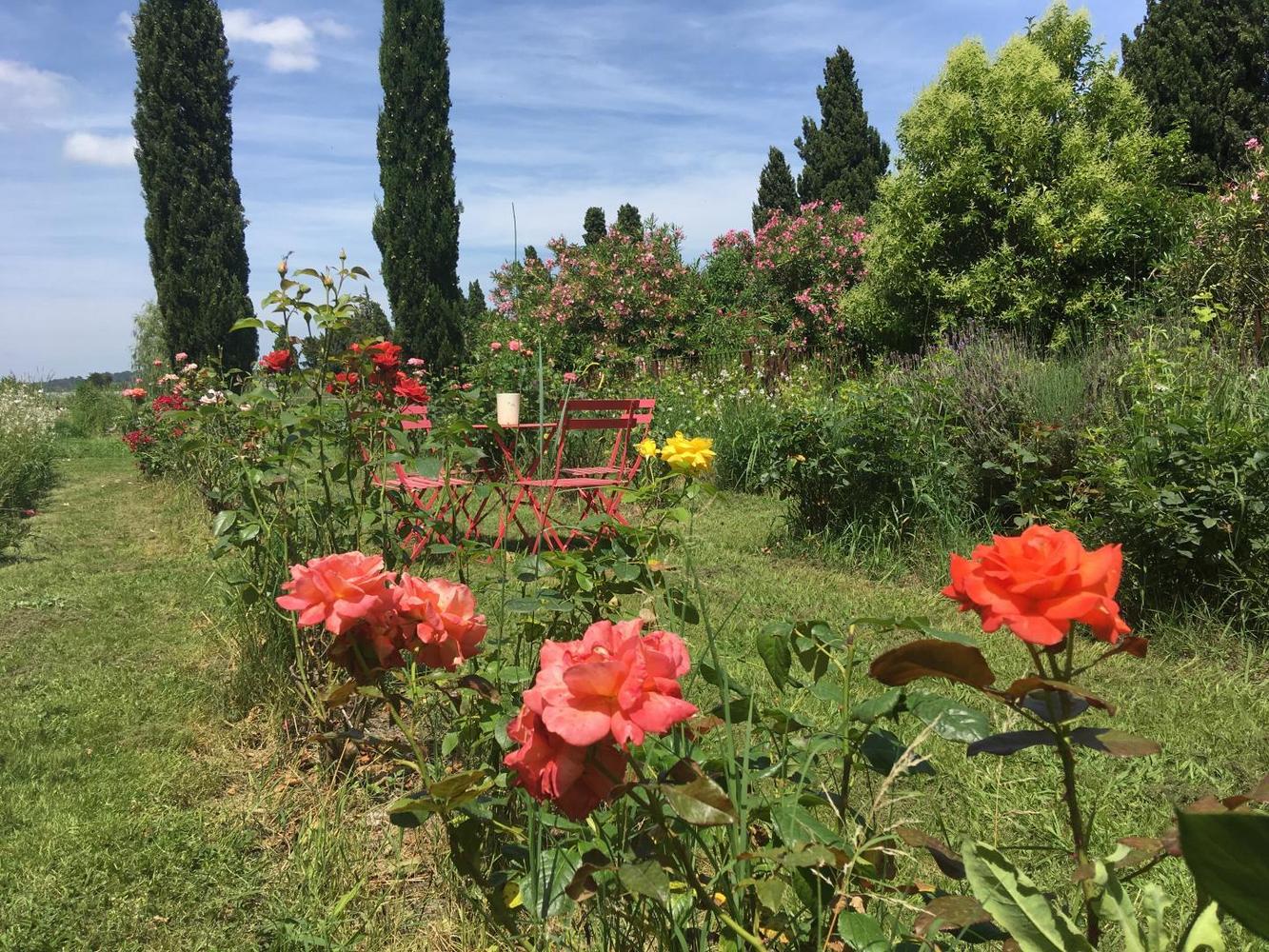 Mas de Rey, Rognonas - photo 30