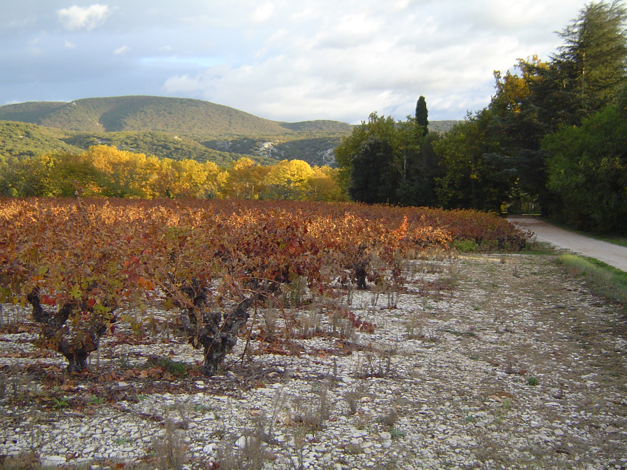 1ffd24cc098deeaf25e9723e585f6357