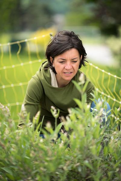 la Marmite Enchantée_Habère-Poche