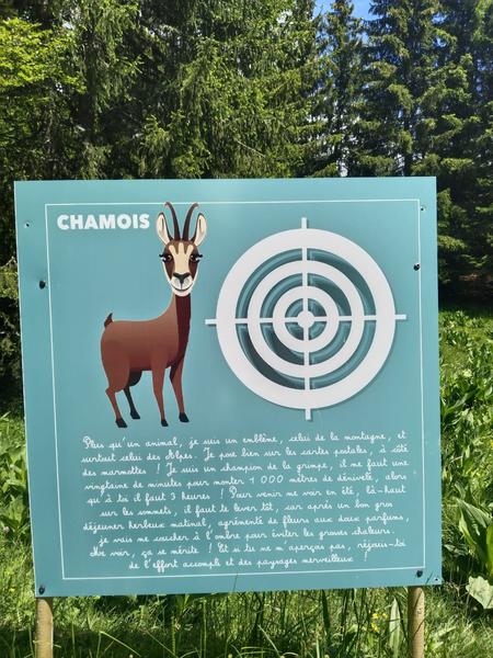 Cible Chamois