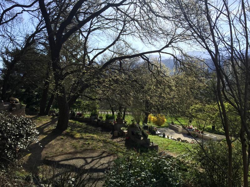 Cimetière parc de La Peysse