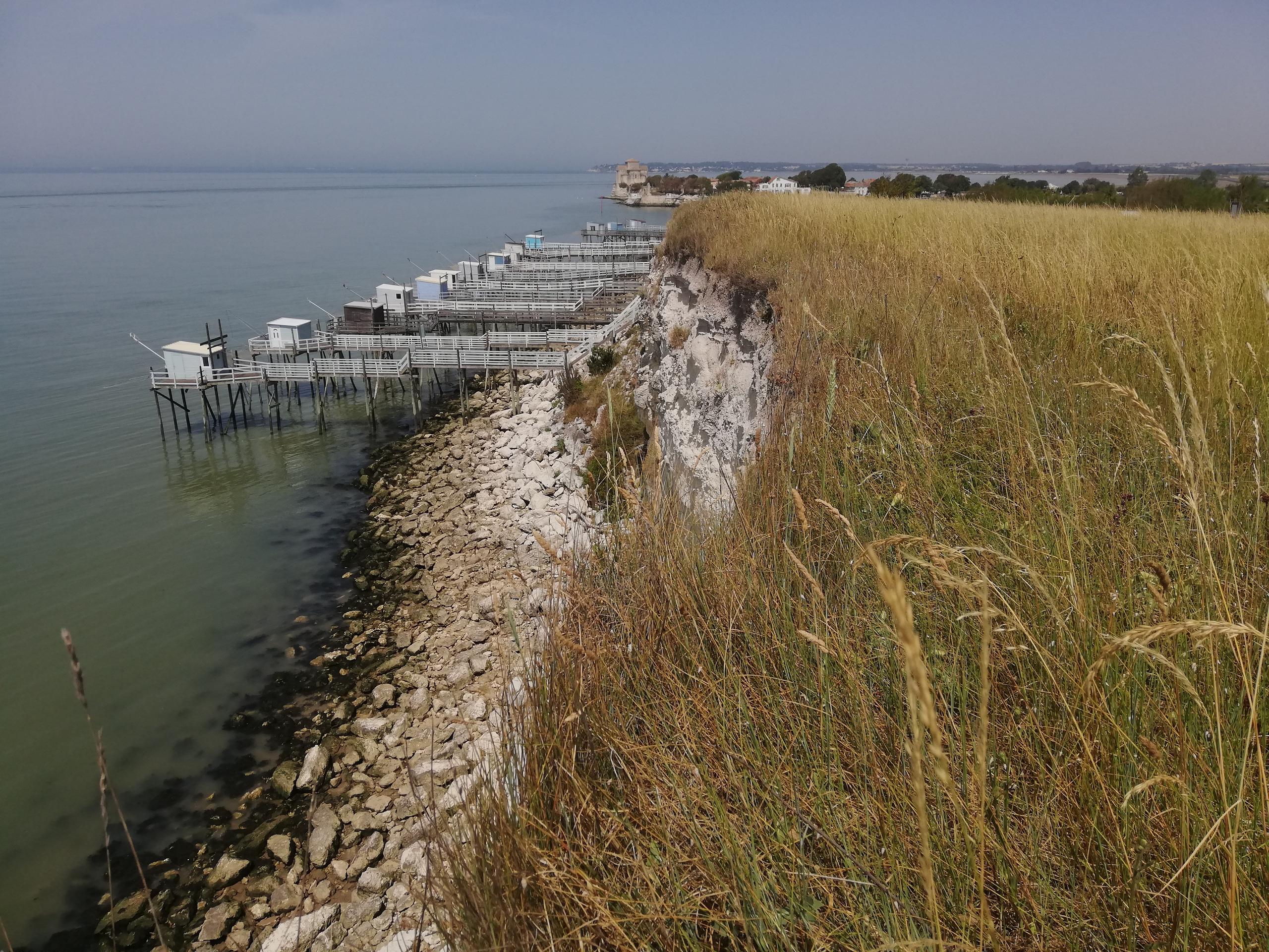Pelouses calcicoles et côteaux de Gironde