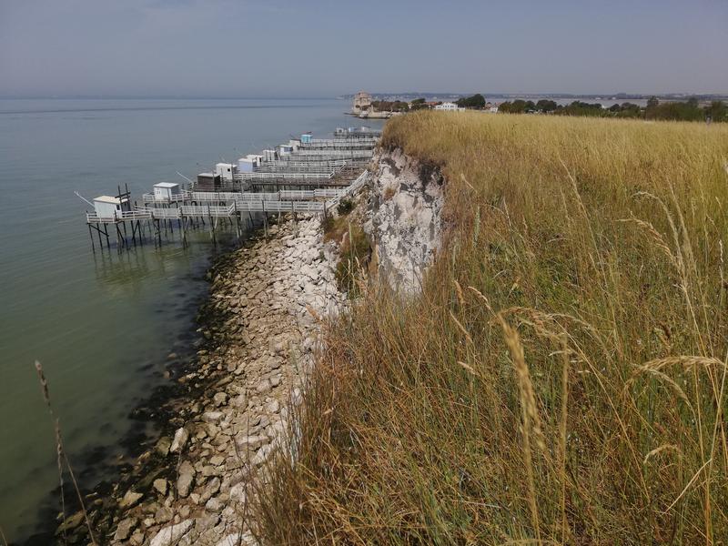 Pelouses calcicoles et côteaux de Gironde