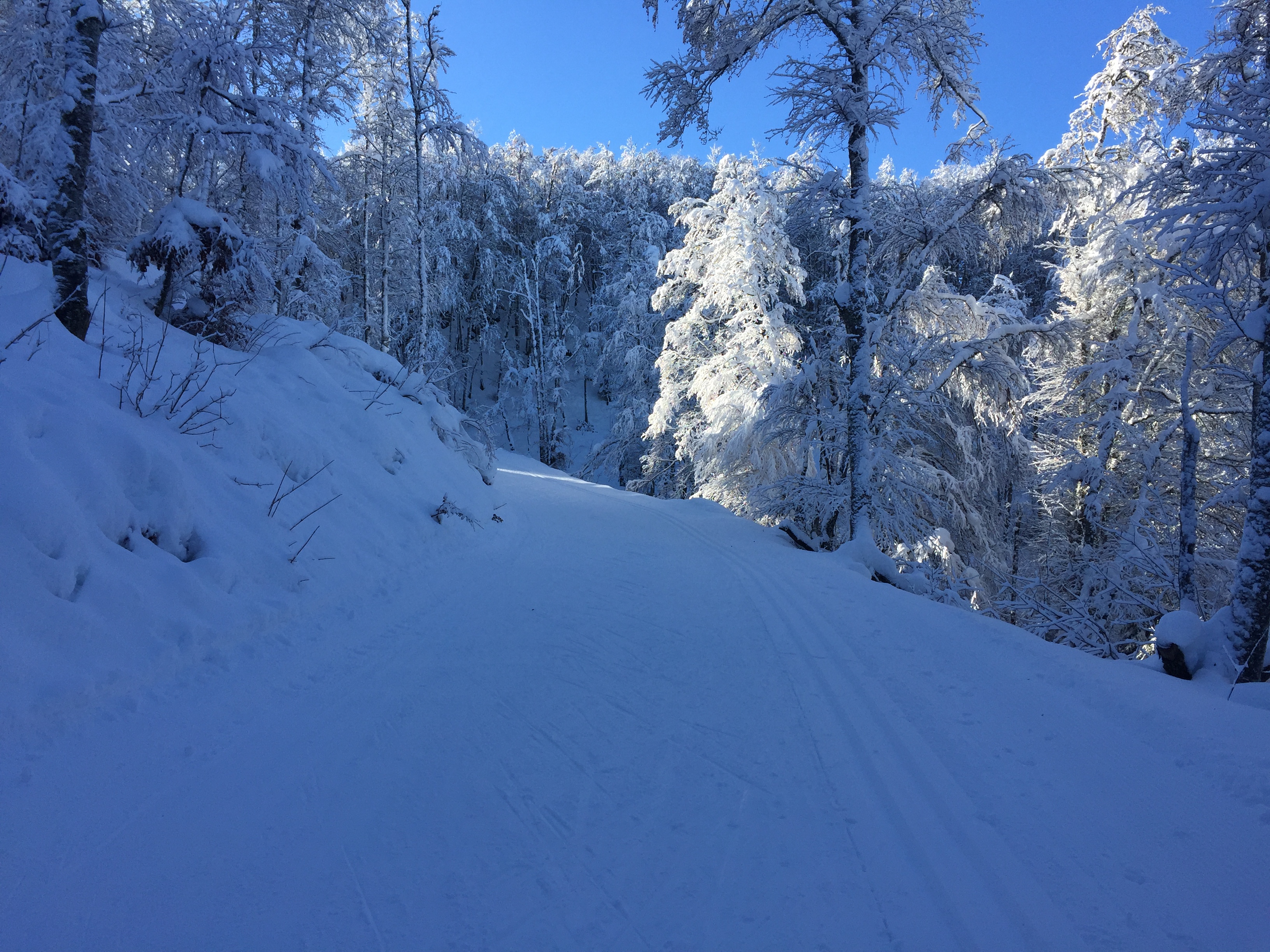Piste noire de ski de fond du Plateau de Retord : Le Tour du Retord