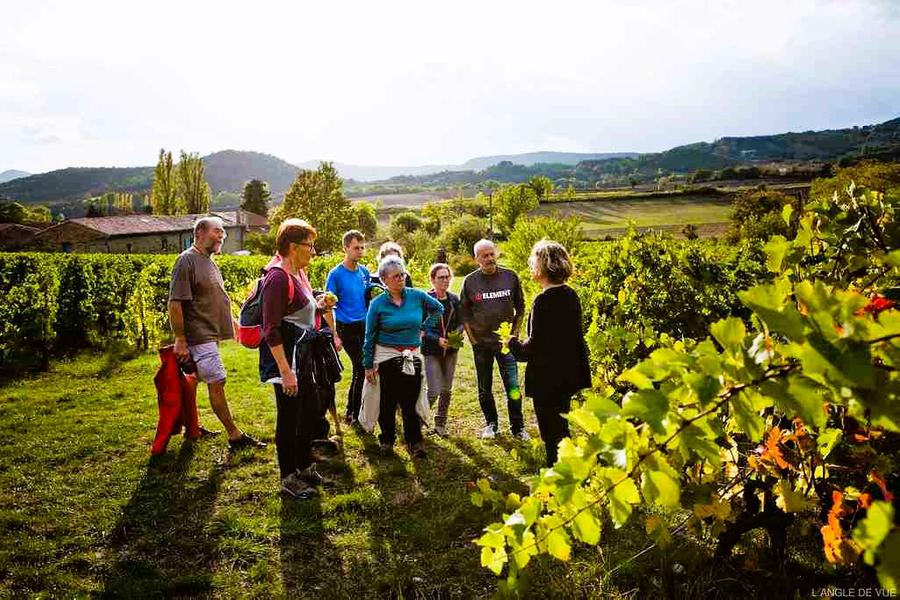 balade dans les vignes de Peylong