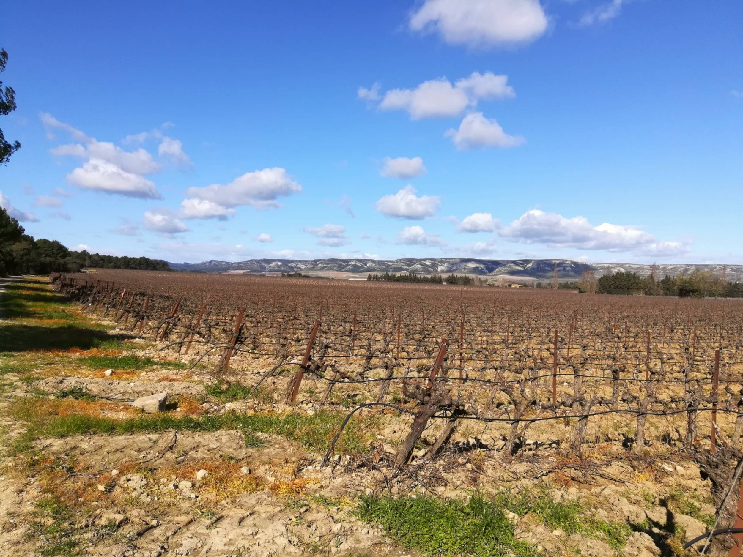 LAMANON - Autour de Calès, Lamanon - photo 6