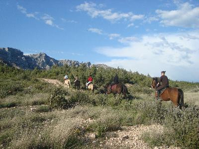 Centre équestre Clos Sainte Victoire, Saint-Antonin-sur-Bayon - photo 5