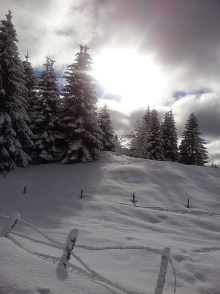 Randonnée en Bauges