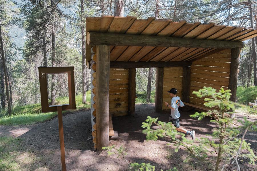 Sentier de la forêt d'Erica-La Norma