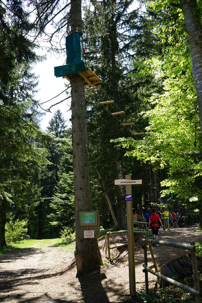 Entrée Accrobranche