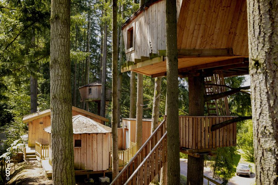 cabane dans les arbres