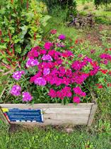 Visite des jardins pédagogiques de l'île d'Amour à MEYLAN_Meylan