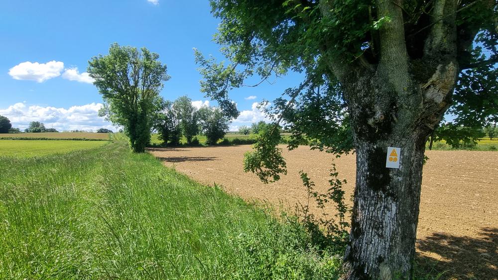 Circuit VTT-VTC n°27 (noir) - Les domaines de Bresse