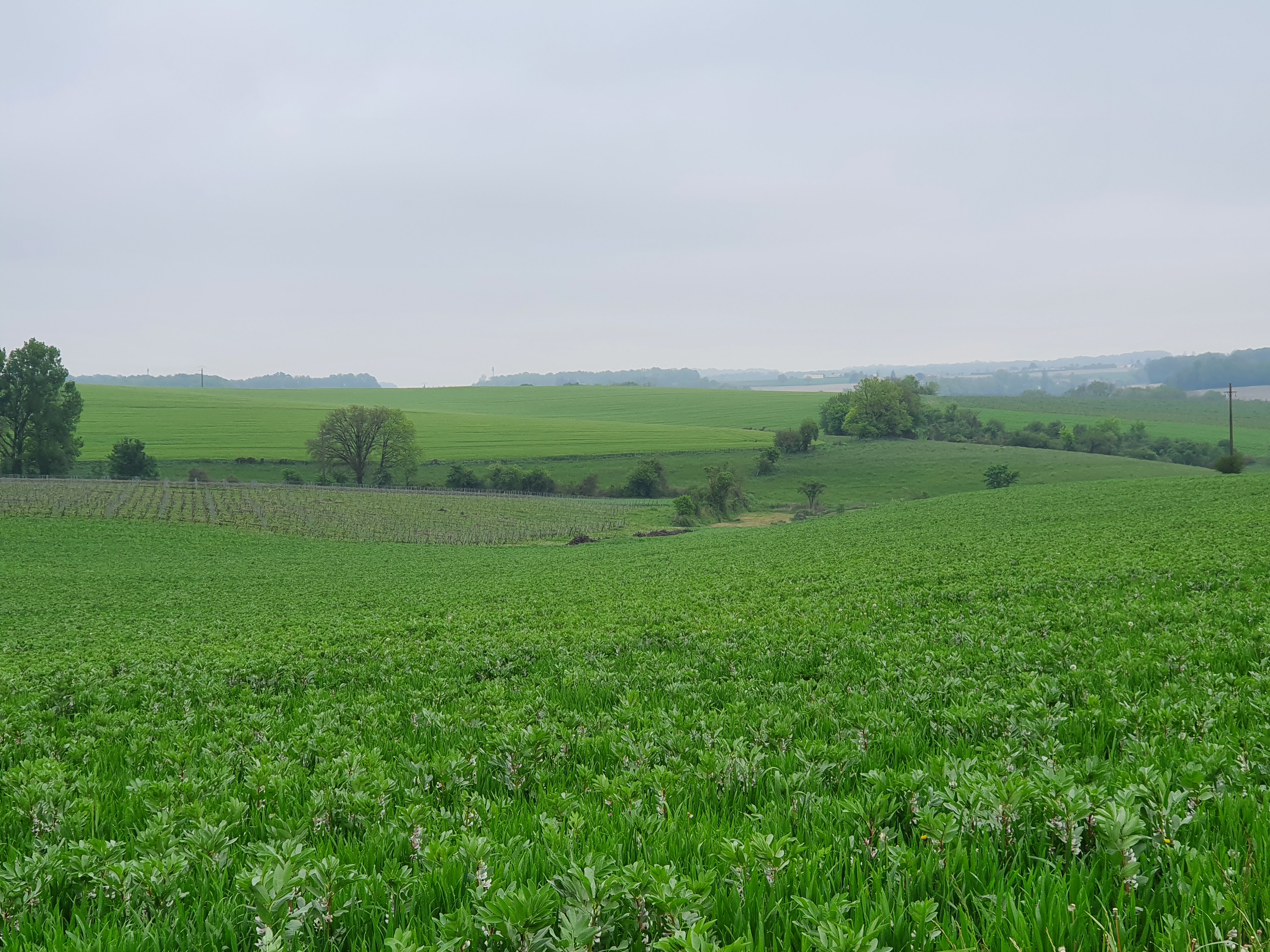 Course Run & Beer à la Ferme