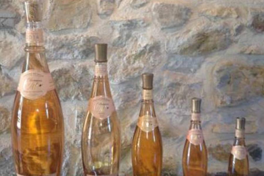 Vignobles de Bandol, Cassis, le Castellet