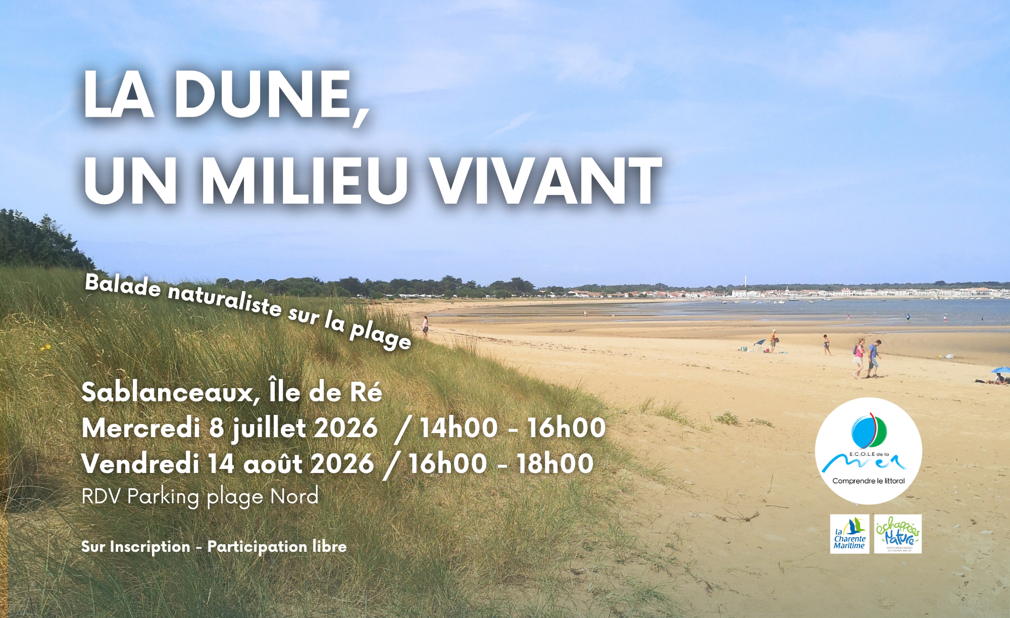 La dune, un milieu de vie.