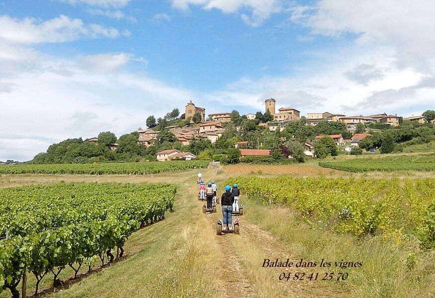 Mobilboard Beaujolais