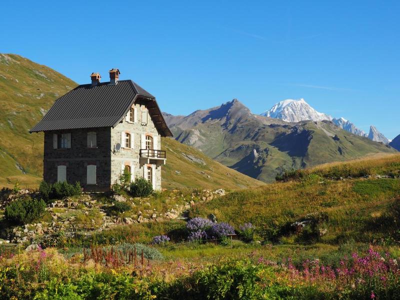 A la découverte des fleurs montagnardes I Rendez-vous Nature en Savoie