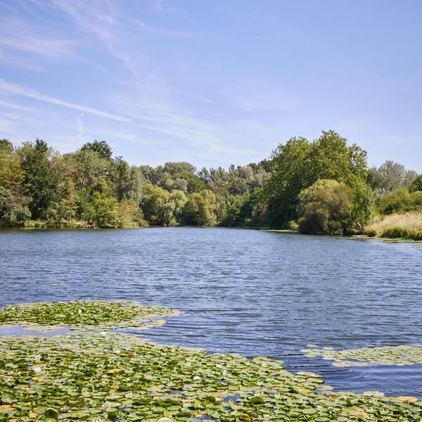 Parc de Lormoy