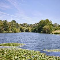 Parc de Lormoy_Longpont-sur-Orge