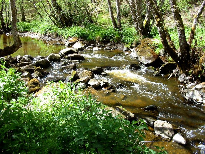 Site de pêche - Rivière Le Sioulet