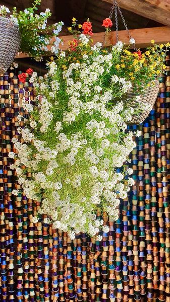 L'arrivée au Chalet