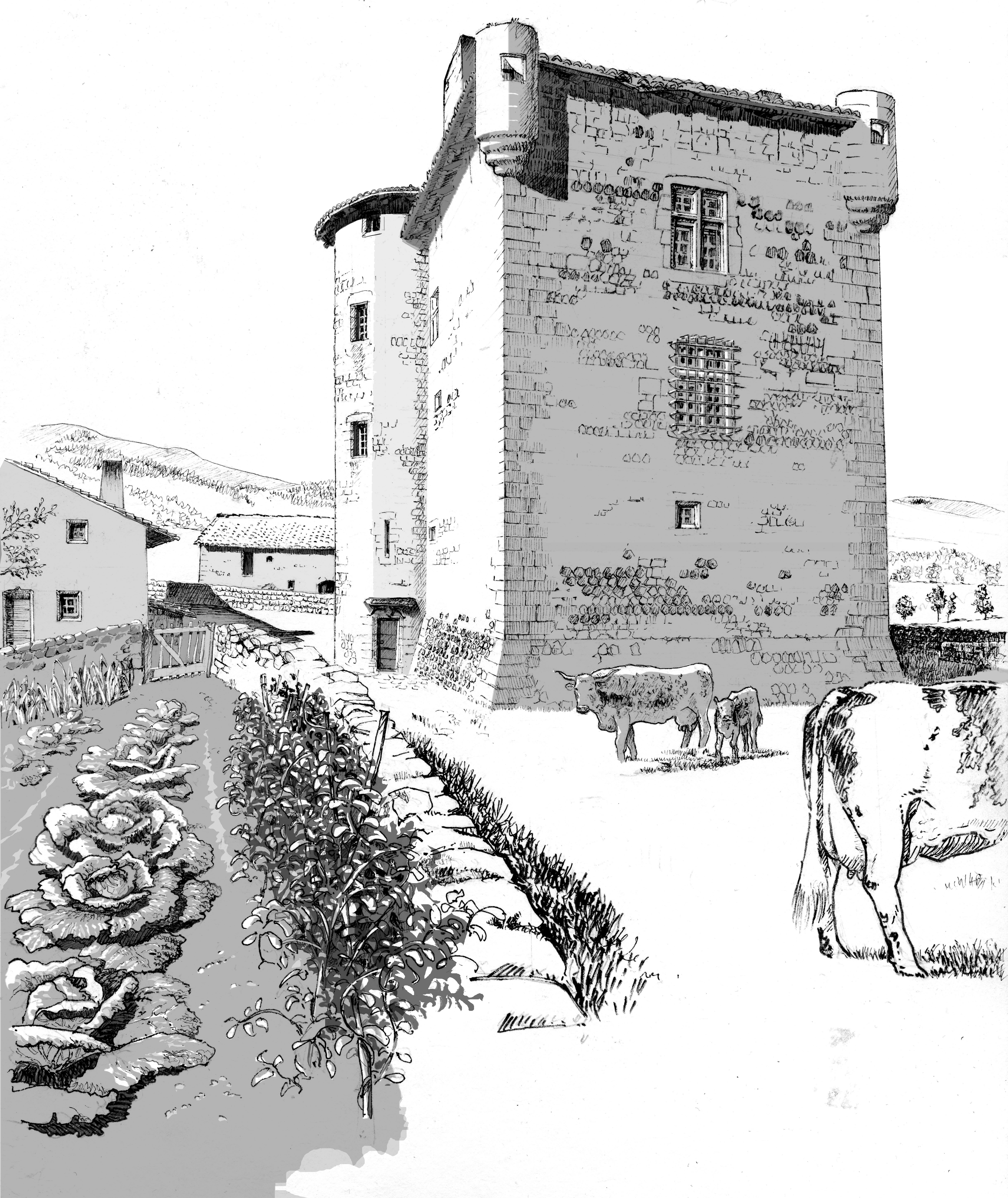 Les maisons fortes ou maisons nobles de la Vallée de l’Ance