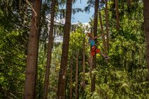 Accro Park des Gaillands - Cie des Guides de Chamonix