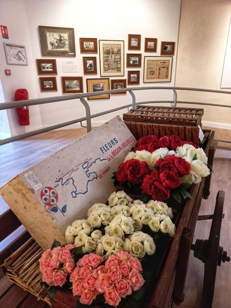 Musée de la fleur - Ollioules