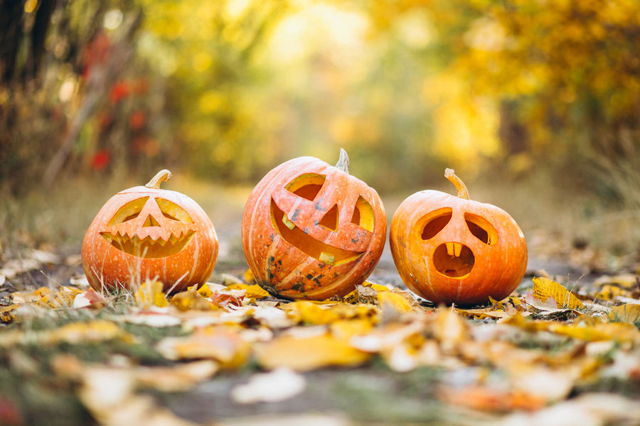 Halloween à La Londe les Maures