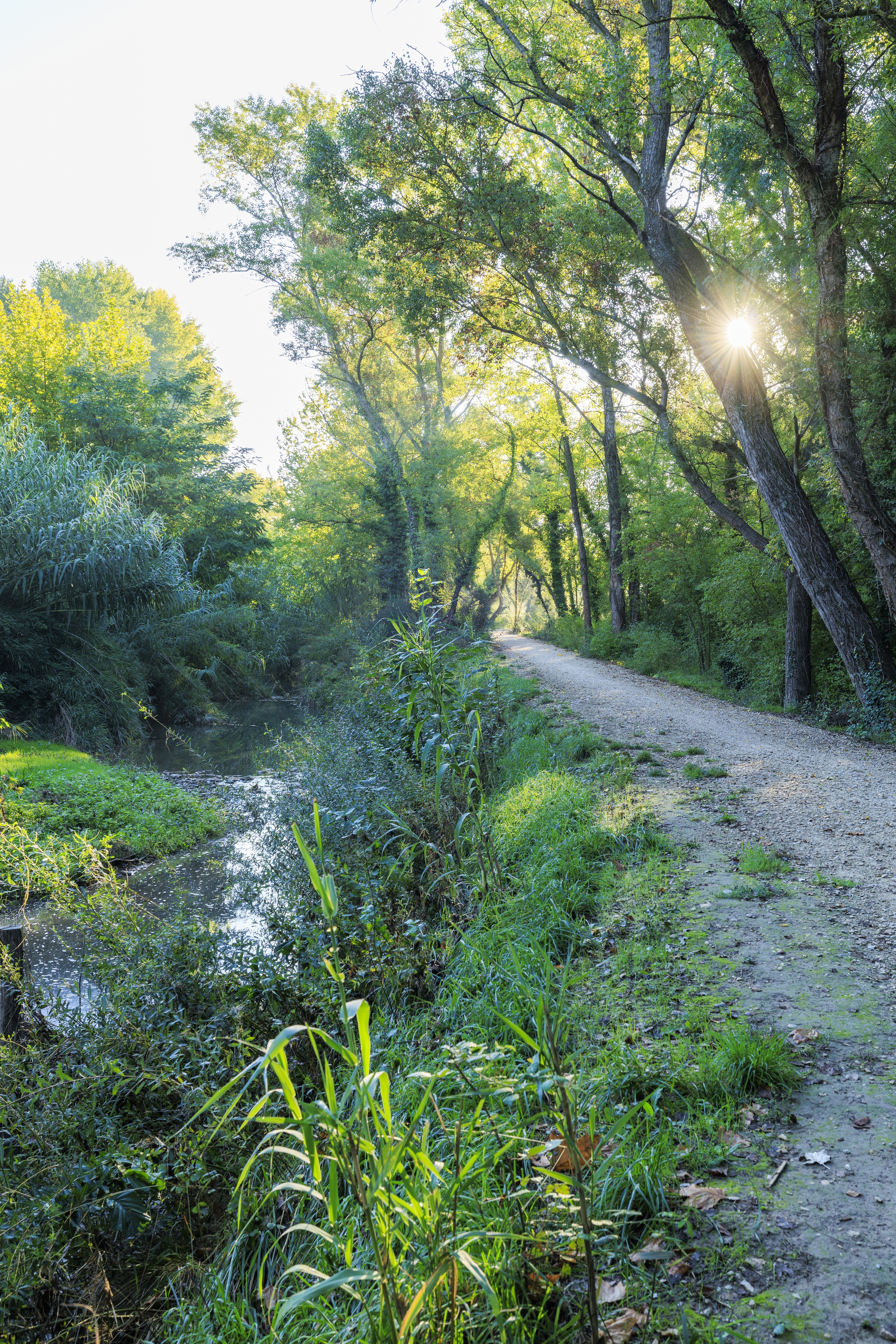 Véloroute Vers la Durance à vélo : Tronçon Pertuis - Villelaure — photo 3