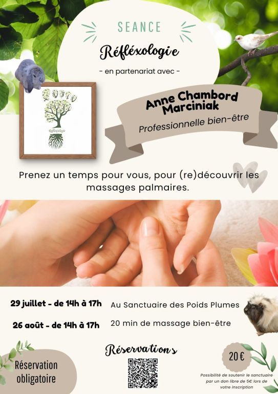 Séance de reflexologie_Ventouse
