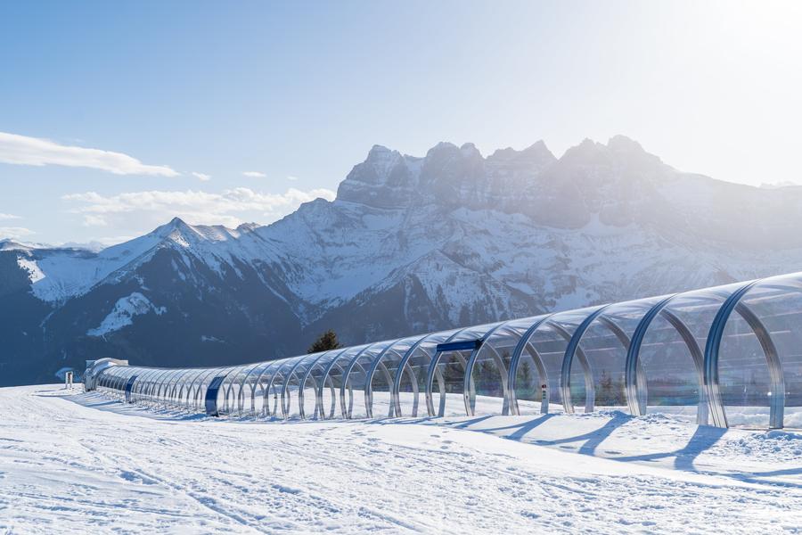 Tapis Foilleuse_Morgins