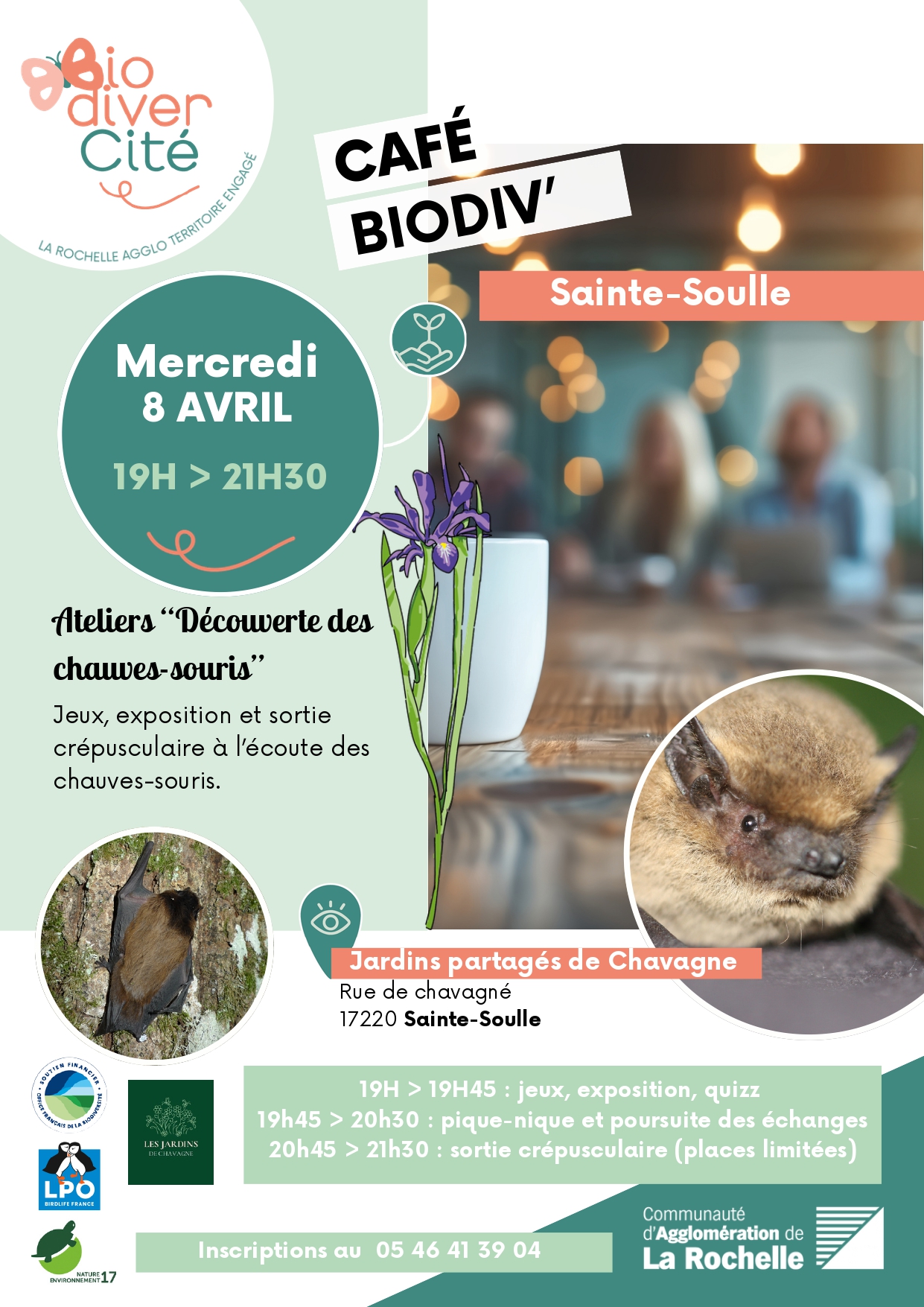 Ateliers “Découverte des chauves-souris”