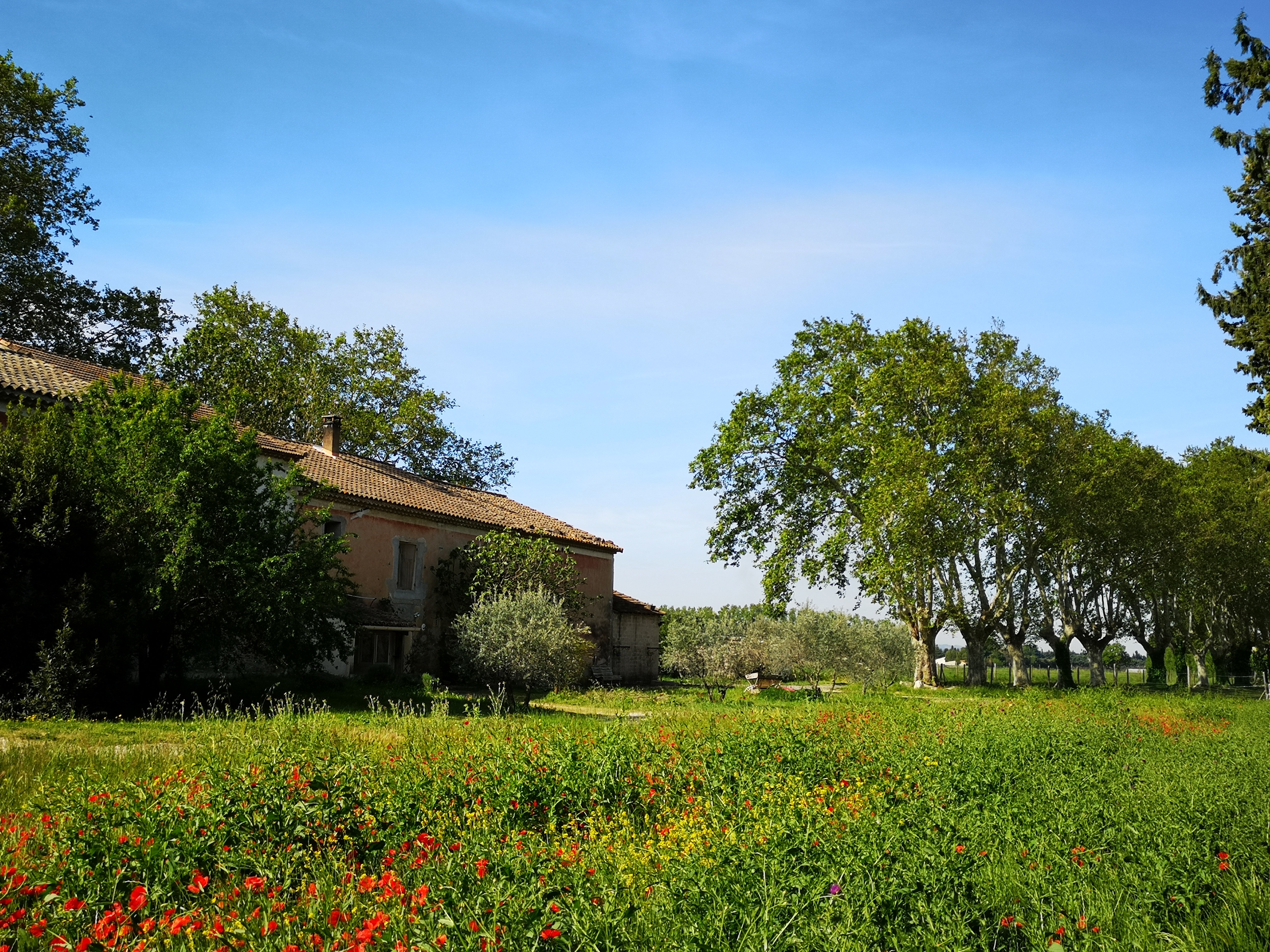 Au Mas Saint-Pierre - photo 5