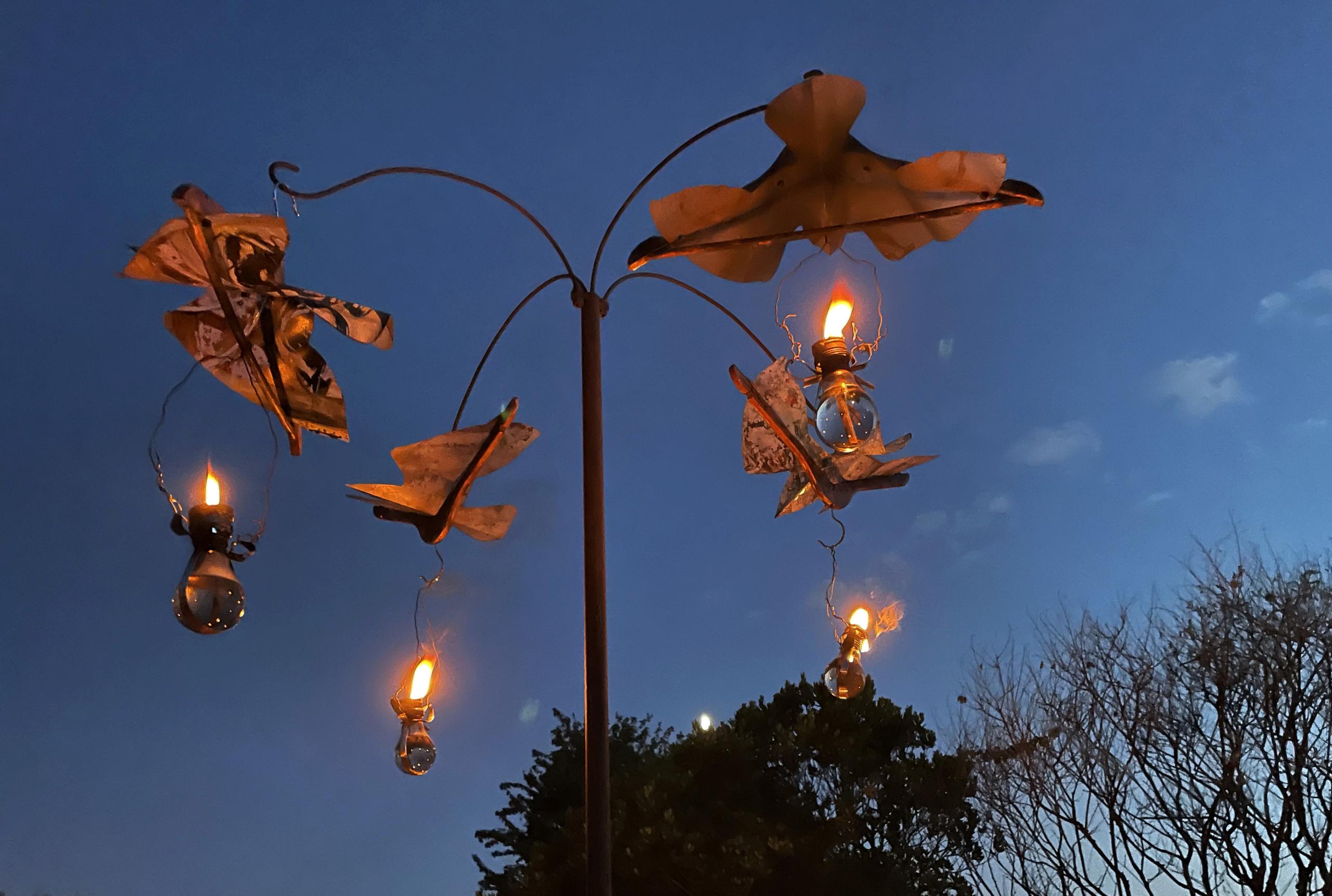 Cassinomagus - Nuit Archéo