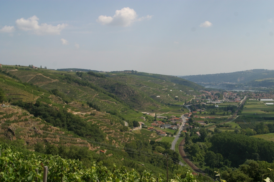 Côtière rhodanienne