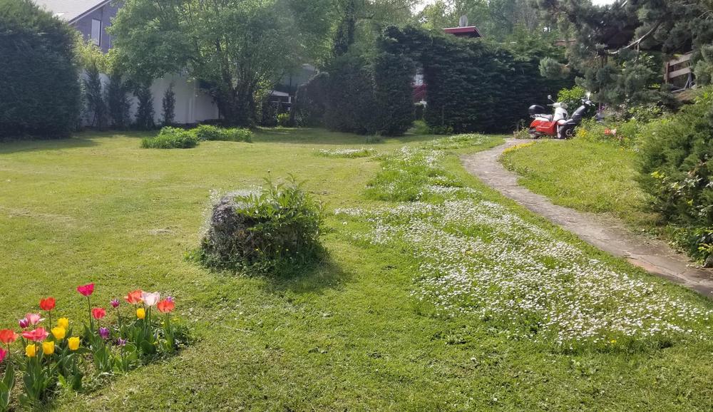 jardin partagé jardin partagé