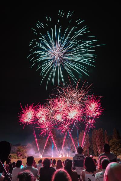 FEU D'ARTIFICE DE VERRIERES-LE-BUISSON ET ANTONY 