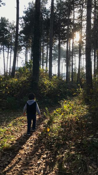 enfant qui se balade dans la foret