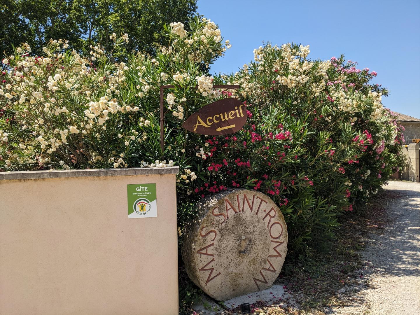 Le Mas Saint Roman - La Berrugueto, Maussane-les-Alpilles - photo 4