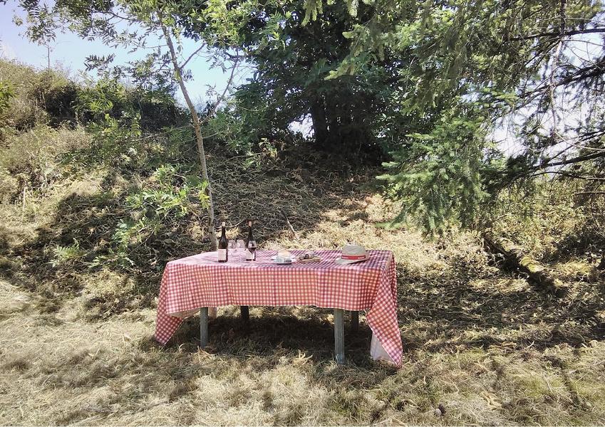 PLATEAU DE GRILLE MIDI