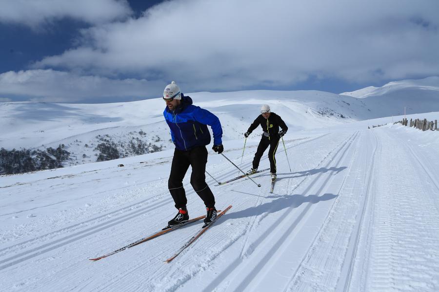 Cours de ski de fond